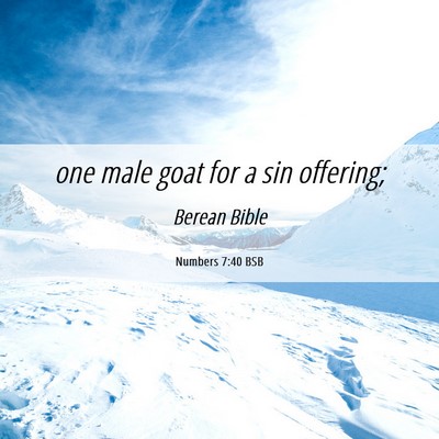 Picture 06 - Numbers 7:40 BSB - one male goat for a sin - Bible Verse Picture