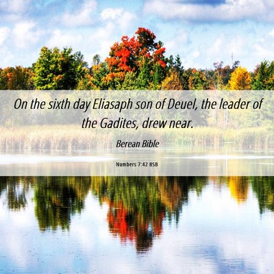 Picture 06 - Numbers 7:42 BSB - On the sixth day Eliasaph son of Deuel, the - Bible Verse Picture