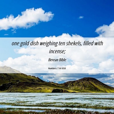 Picture 06 - Numbers 7:44 BSB - one gold dish weighing ten shekels, filled with - Bible Verse Picture