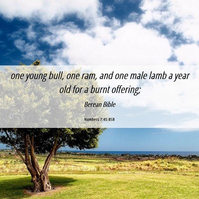Picture 06 - Numbers 7:45 BSB - one young bull, one ram, and one male lamb a year - Bible Verse Picture