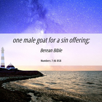 Picture 06 - Numbers 7:46 BSB - one male goat for a sin - Bible Verse Picture