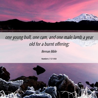 Picture 06 - Numbers 7:57 BSB - one young bull, one ram, and one male lamb a year - Bible Verse Picture