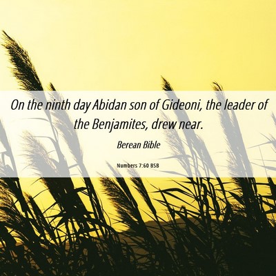 Picture 06 - Numbers 7:60 BSB - On the ninth day Abidan son of Gideoni, the - Bible Verse Picture