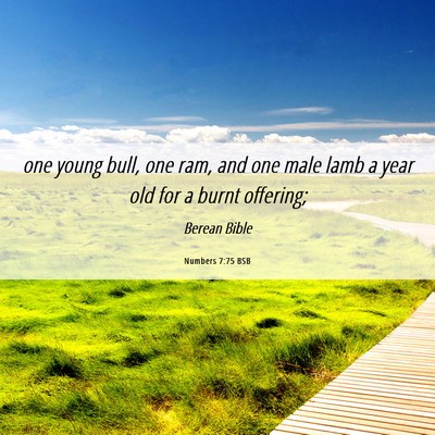 Picture 06 - Numbers 7:75 BSB - one young bull, one ram, and one male lamb a year - Bible Verse Picture