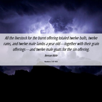 Picture 06 - Numbers 7:87 BSB - All the livestock for the burnt offering totaled - Bible Verse Picture