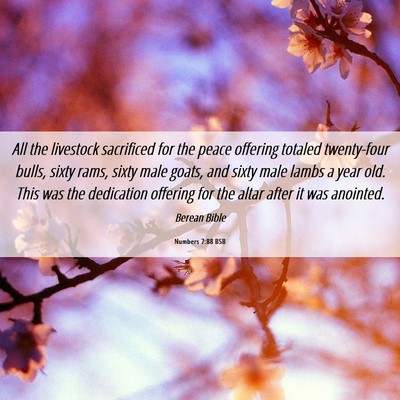 Picture 06 - Numbers 7:88 BSB - All the livestock sacrificed for the peace - Bible Verse Picture