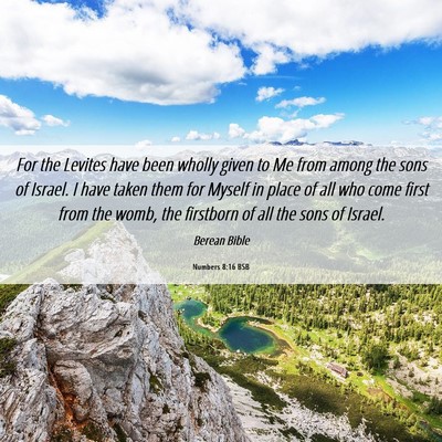 Picture 06 - Numbers 8:16 BSB - For the Levites have been wholly given to Me from - Bible Verse Picture