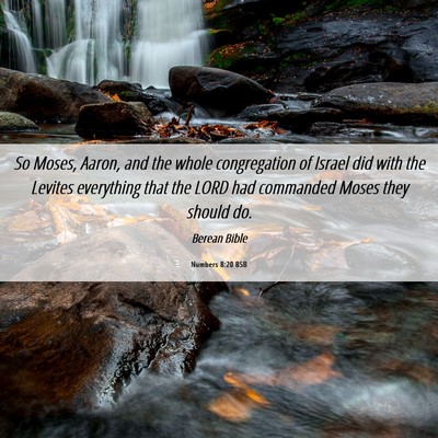 Picture 06 - Numbers 8:20 BSB - So Moses, Aaron, and the whole congregation of - Bible Verse Picture