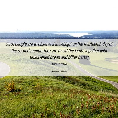 Picture 06 - Numbers 9:11 BSB - Such people are to observe it at twilight on the - Bible Verse Picture