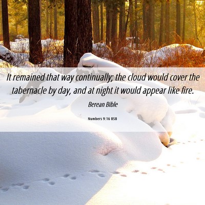 Picture 06 - Numbers 9:16 BSB - It remained that way continually; the cloud would - Bible Verse Picture