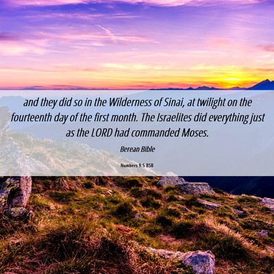 Picture 06 - Numbers 9:5 BSB - and they did so in the Wilderness of Sinai, at - Bible Verse Picture