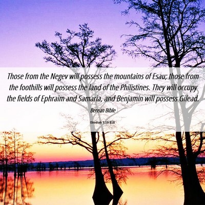 Picture 06 - Obadiah 1:19 BSB - Those from the Negev will possess the mountains - Bible Verse Picture