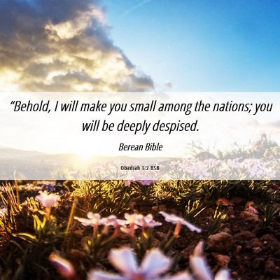 Picture 06 - Obadiah 1:2 BSB - “Behold, I will make you small among the - Bible Verse Picture