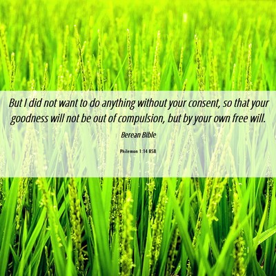 Picture 06 - Philemon 1:14 BSB - But I did not want to do anything without your - Bible Verse Picture