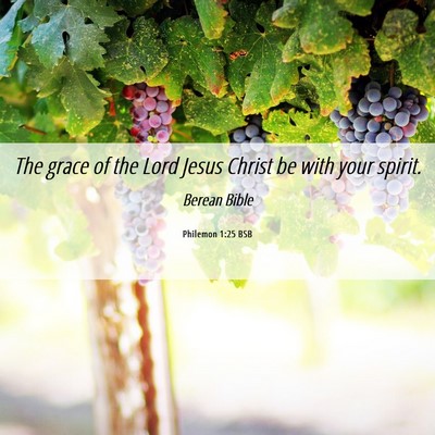 Picture 06 - Philemon 1:25 BSB - The grace of the Lord Jesus Christ be with your - Bible Verse Picture