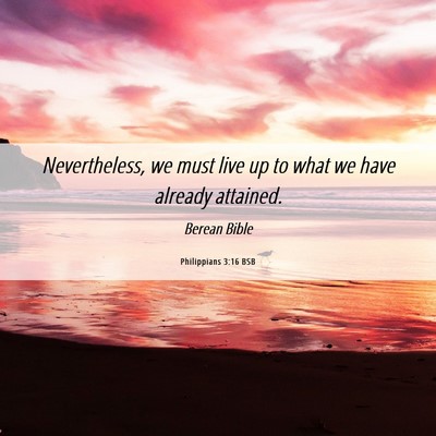 Picture 06 - Philippians 3:16 BSB - Nevertheless, we must live up to what we have - Bible Verse Picture