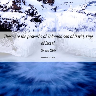 Picture 06 - Proverbs 1:1 BSB - These are the proverbs of Solomon son of David, - Bible Verse Picture