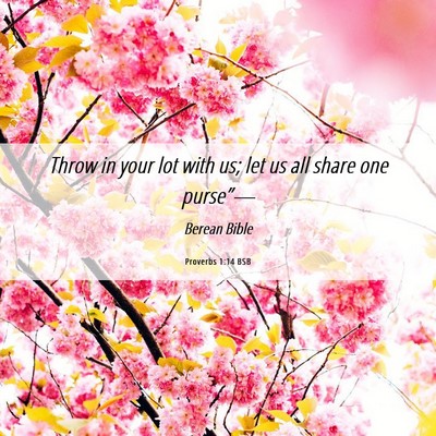 Picture 06 - Proverbs 1:14 BSB - Throw in your lot with us; let us all share one - Bible Verse Picture