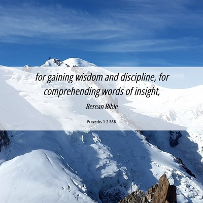 Picture 06 - Proverbs 1:2 BSB - for gaining wisdom and discipline, for - Bible Verse Picture