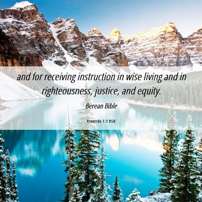 Picture 06 - Proverbs 1:3 BSB - and for receiving instruction in wise living and - Bible Verse Picture