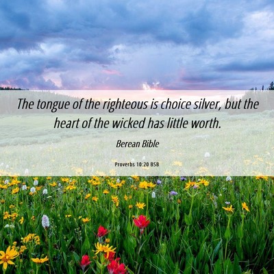Picture 06 - Proverbs 10:20 BSB - The tongue of the righteous is choice silver, but - Bible Verse Picture
