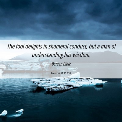 Picture 06 - Proverbs 10:23 BSB - The fool delights in shameful conduct, but a man - Bible Verse Picture