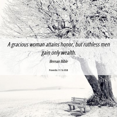 Picture 06 - Proverbs 11:16 BSB - A gracious woman attains honor, but ruthless men - Bible Verse Picture