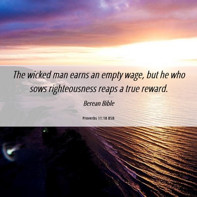 Picture 06 - Proverbs 11:18 BSB - The wicked man earns an empty wage, but he who - Bible Verse Picture