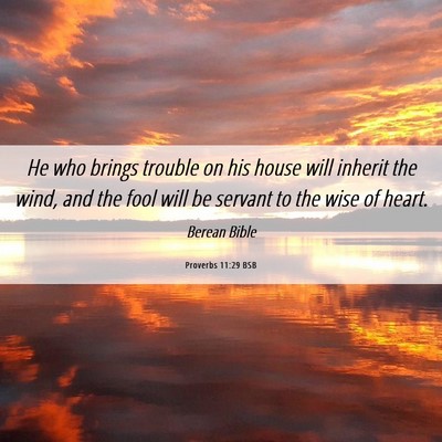 Picture 06 - Proverbs 11:29 BSB - He who brings trouble on his house will inherit - Bible Verse Picture