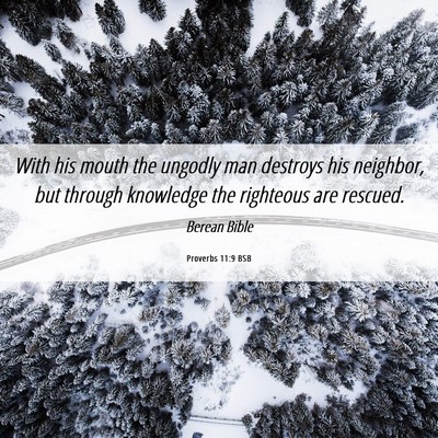 Picture 06 - Proverbs 11:9 BSB - With his mouth the ungodly man destroys his - Bible Verse Picture