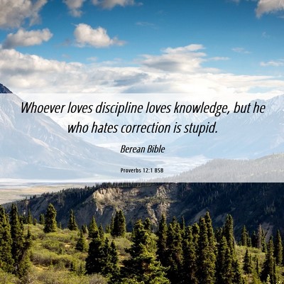 Picture 06 - Proverbs 12:1 BSB - Whoever loves discipline loves knowledge, but he - Bible Verse Picture