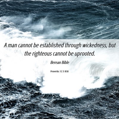 Picture 06 - Proverbs 12:3 BSB - A man cannot be established through wickedness, - Bible Verse Picture