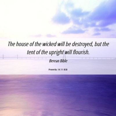 Picture 06 - Proverbs 14:11 BSB - The house of the wicked will be destroyed, but - Bible Verse Picture