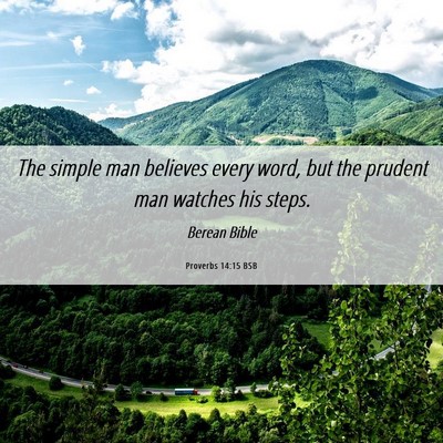 Picture 06 - Proverbs 14:15 BSB - The simple man believes every word, but the - Bible Verse Picture