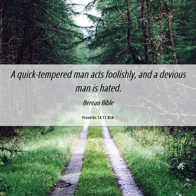 Picture 06 - Proverbs 14:17 BSB - A quick-tempered man acts foolishly, and a - Bible Verse Picture