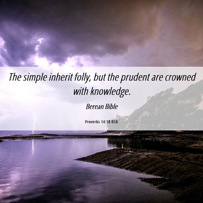 Picture 06 - Proverbs 14:18 BSB - The simple inherit folly, but the prudent are - Bible Verse Picture