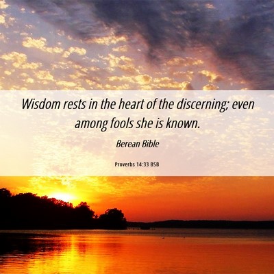 Picture 06 - Proverbs 14:33 BSB - Wisdom rests in the heart of the discerning; even - Bible Verse Picture