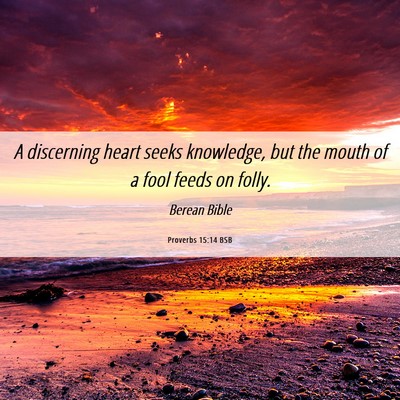 Picture 06 - Proverbs 15:14 BSB - A discerning heart seeks knowledge, but the mouth - Bible Verse Picture
