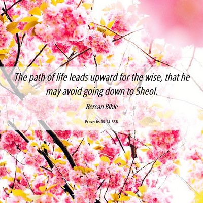 Picture 06 - Proverbs 15:24 BSB - The path of life leads upward for the wise, that - Bible Verse Picture