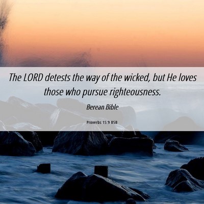 Picture 06 - Proverbs 15:9 BSB - The LORD detests the way of the wicked, but He - Bible Verse Picture