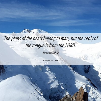 Picture 06 - Proverbs 16:1 BSB - The plans of the heart belong to man, but the - Bible Verse Picture
