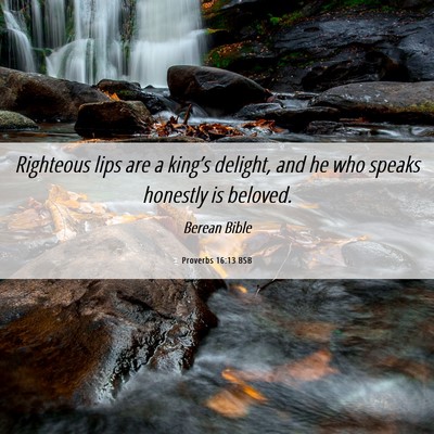 Picture 06 - Proverbs 16:13 BSB - Righteous lips are a king’s delight, and he who - Bible Verse Picture
