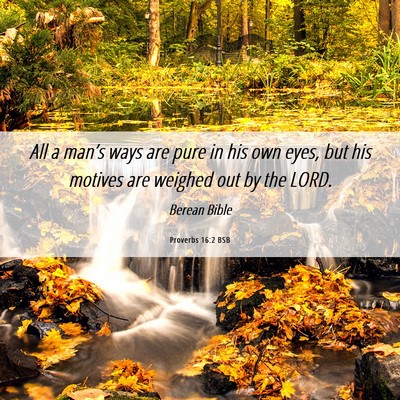 Picture 06 - Proverbs 16:2 BSB - All a man’s ways are pure in his own eyes, but - Bible Verse Picture