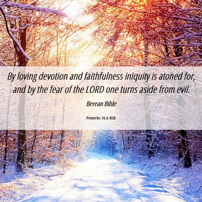 Picture 06 - Proverbs 16:6 BSB - By loving devotion and faithfulness iniquity is - Bible Verse Picture