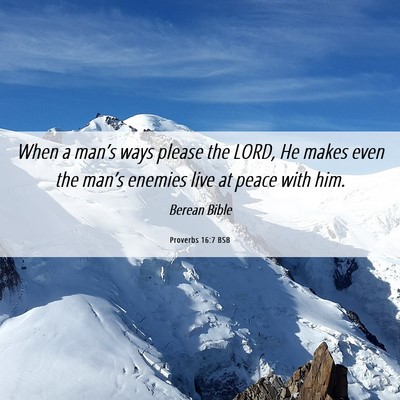 Picture 06 - Proverbs 16:7 BSB - When a man’s ways please the LORD, He makes - Bible Verse Picture