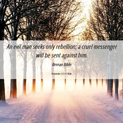 Picture 06 - Proverbs 17:11 BSB - An evil man seeks only rebellion; a cruel - Bible Verse Picture