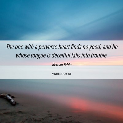 Picture 06 - Proverbs 17:20 BSB - The one with a perverse heart finds no good, and - Bible Verse Picture