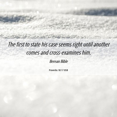 Picture 06 - Proverbs 18:17 BSB - The first to state his case seems right until - Bible Verse Picture