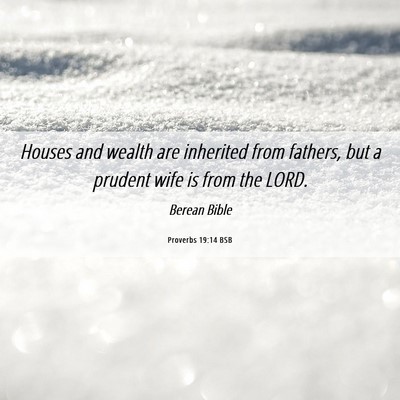 Picture 06 - Proverbs 19:14 BSB - Houses and wealth are inherited from fathers, but - Bible Verse Picture