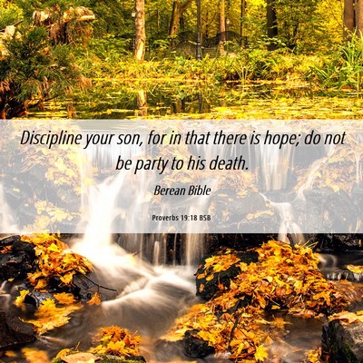 Picture 06 - Proverbs 19:18 BSB - Discipline your son, for in that there is hope; - Bible Verse Picture